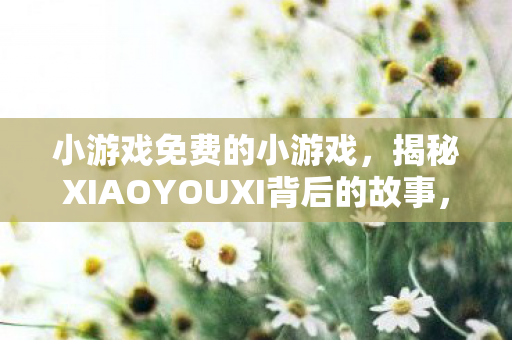 小游戏免费的小游戏，揭秘XIAOYOUXI背后的故事，一场科技与情感的完美结合之旅