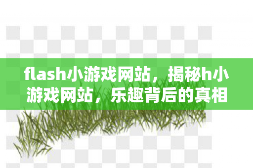 flash小游戏网站，揭秘h小游戏网站，乐趣背后的真相