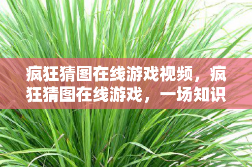 疯狂猜图在线游戏视频,疯狂猜图在线游戏,一场知识与趣味的较量 疯狂猜图在线游戏视频,疯狂猜图在线游戏,一场知识与趣味的较量