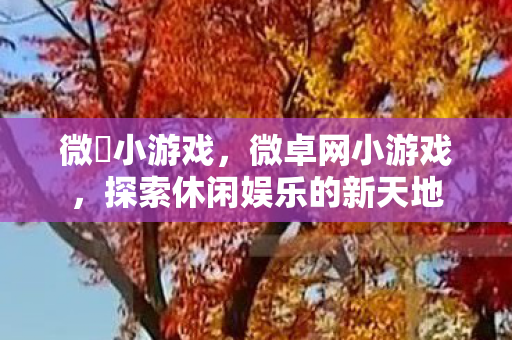 微仐小游戏,微卓网小游戏,探索休闲娱乐的新天地 微仐小游戏,微卓网小游戏,探索休闲娱乐的新天地