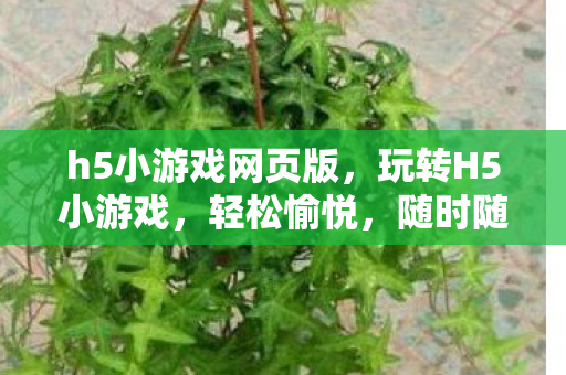h5小游戏网页版，玩转H5小游戏，轻松愉悦，随时随地开启游戏之旅