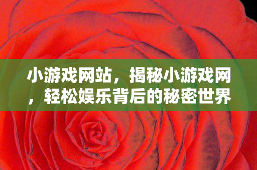 小游戏网站，揭秘小游戏网，轻松娱乐背后的秘密世界