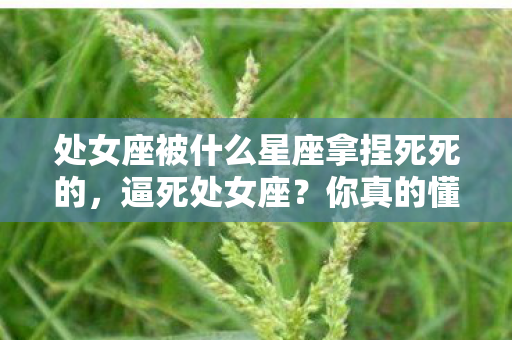 处女座被什么星座拿捏死死的,逼死处女座?你真的懂处女座吗? 处女座被什么星座拿捏死死的,逼死处女座?你真的懂处女座吗?