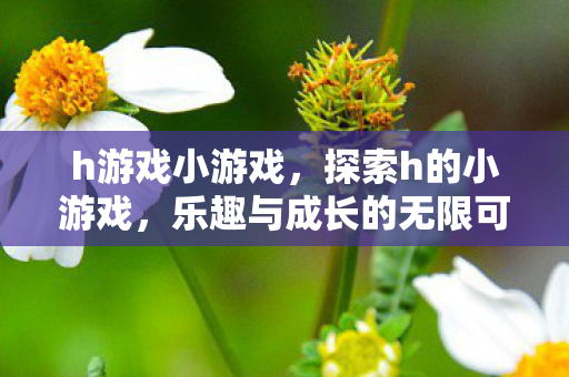 h游戏小游戏，探索h的小游戏，乐趣与成长的无限可能