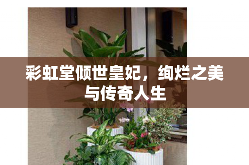 彩虹堂倾世皇妃，绚烂之美与传奇人生