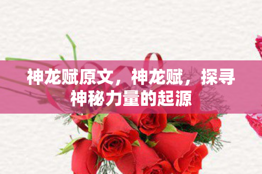 神龙赋原文，神龙赋，探寻神秘力量的起源