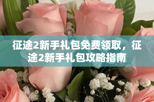 征途2新手礼包免费领取，征途2新手礼包攻略指南