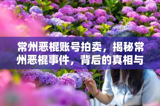 常州恶棍账号拍卖，揭秘常州恶棍事件，背后的真相与反思