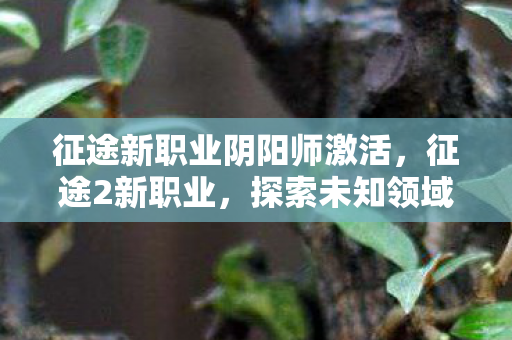 征途新职业阴阳师激活，征途2新职业，探索未知领域，引领游戏新潮流