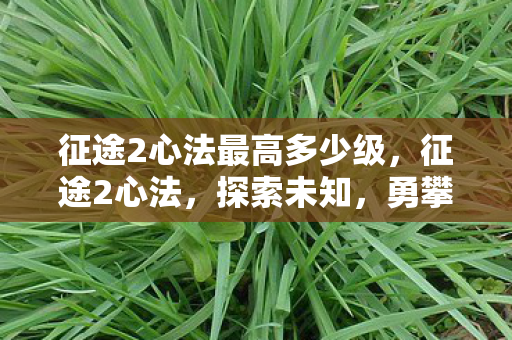 征途2心法最高多少级，征途2心法，探索未知，勇攀高峰