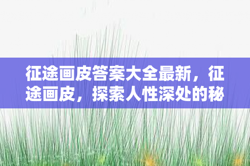 征途画皮答案大全最新，征途画皮，探索人性深处的秘密答案