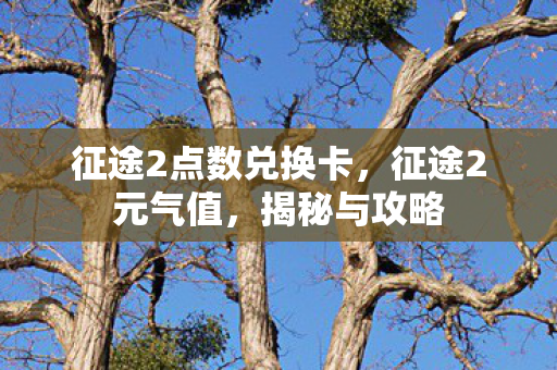 征途2点数兑换卡,征途2元气值,揭秘与攻略 征途2点数兑换卡,征途2元气值,揭秘与攻略