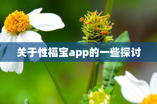 关于性福宝app的一些探讨