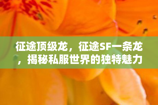 征途顶级龙，征途SF一条龙，揭秘私服世界的独特魅力与挑战