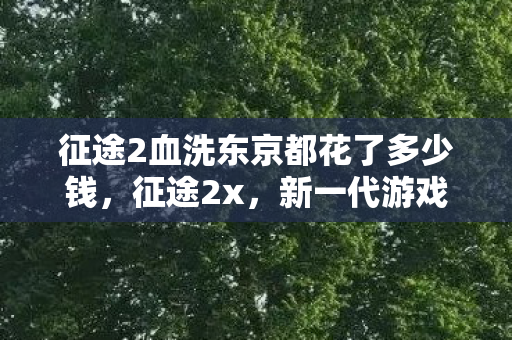 征途2血洗东京都花了多少钱,征途2x,新一代游戏世界的探索与挑战 征途2血洗东京都花了多少钱,征途2x,新一代游戏世界的探索与挑战