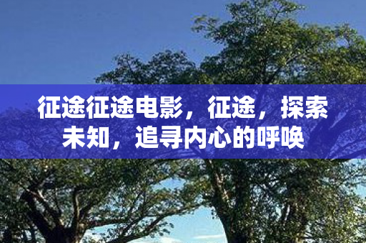 征途征途电影，征途，探索未知，追寻内心的呼唤