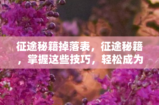 征途秘籍掉落表，征途秘籍，掌握这些技巧，轻松成为人生赢家