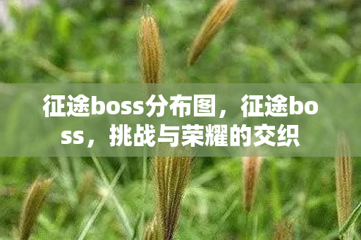 征途boss分布图,征途boss,挑战与荣耀的交织 征途boss分布图,征途boss,挑战与荣耀的交织