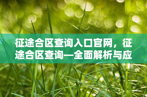 征途合区查询入口官网，征途合区查询—全面解析与应对策略
