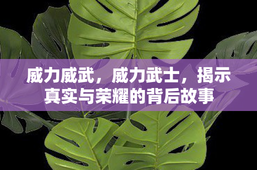 威力威武，威力武士，揭示真实与荣耀的背后故事
