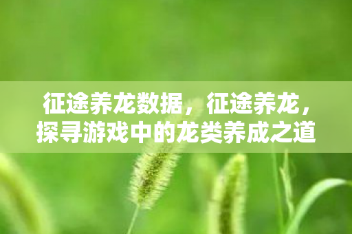 征途养龙数据,征途养龙,探寻游戏中的龙类养成之道 征途养龙数据,征途养龙,探寻游戏中的龙类养成之道