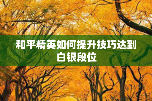 和平精英如何提升技巧达到白银段位