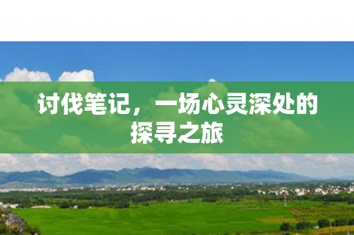 讨伐笔记,一场心灵深处的探寻之旅 讨伐笔记,一场心灵深处的探寻之旅