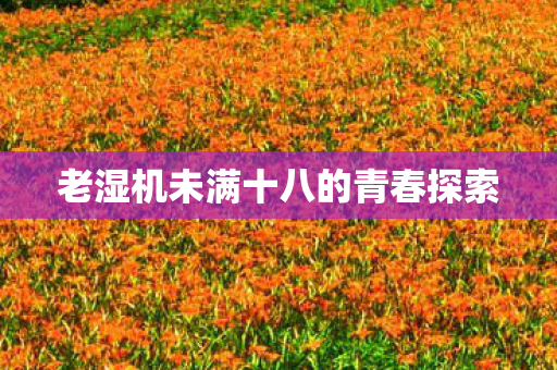 老湿机未满十八的青春探索 老湿机未满十八的青春探索