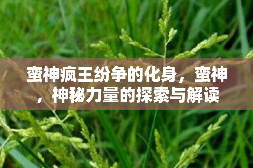 蛮神疯王纷争的化身,蛮神,神秘力量的探索与解读 蛮神疯王纷争的化身,蛮神,神秘力量的探索与解读