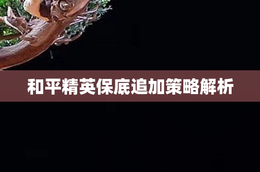 和平精英保底追加策略解析 和平精英保底追加策略解析