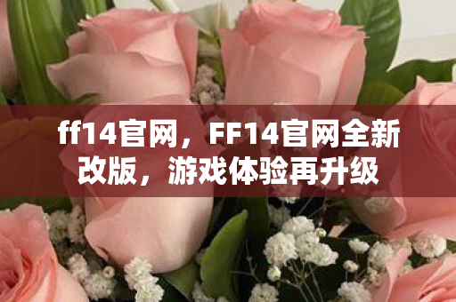 ff14官网,FF14官网全新改版,游戏体验再升级 ff14官网,FF14官网全新改版,游戏体验再升级