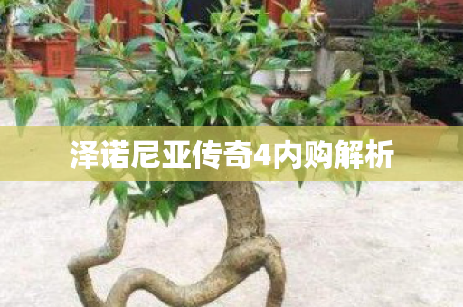 泽诺尼亚传奇4内购解析