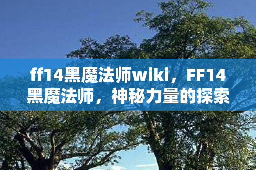 ff14黑魔法师wiki，FF14黑魔法师，神秘力量的探索与解析