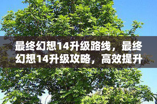 最终幻想14升级路线,最终幻想14升级攻略,高效提升等级的技巧与策略 最终幻想14升级路线,最终幻想14升级攻略,高效提升等级的技巧与策略