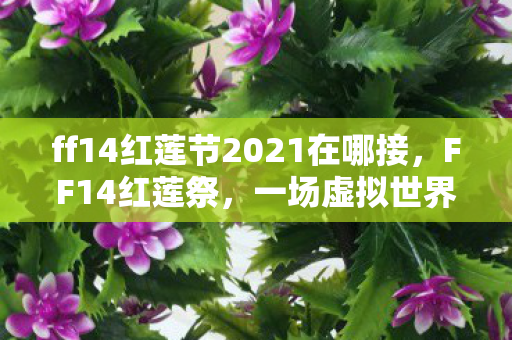 ff14红莲节2021在哪接，FF14红莲祭，一场虚拟世界的盛大庆典