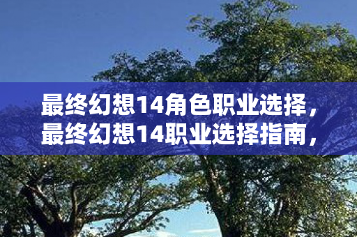 最终幻想14角色职业选择，最终幻想14职业选择指南，哪个职业最适合你？
