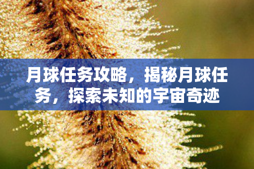 月球任务攻略,揭秘月球任务,探索未知的宇宙奇迹 月球任务攻略,揭秘月球任务,探索未知的宇宙奇迹