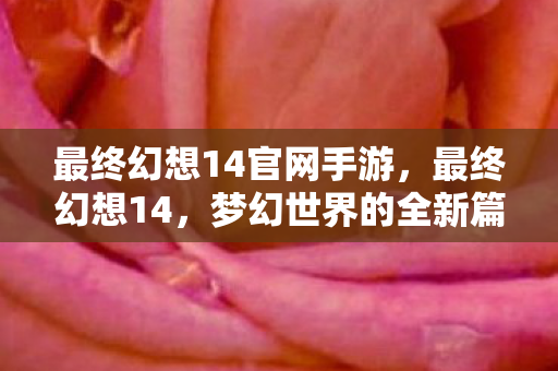 最终幻想14官网手游，最终幻想14，梦幻世界的全新篇章