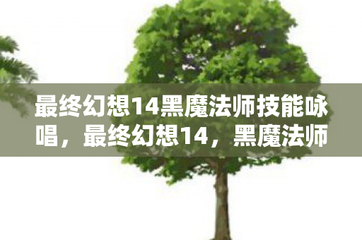 最终幻想14黑魔法师技能咏唱,最终幻想14,黑魔法师的奥秘与魅力 最终幻想14黑魔法师技能咏唱,最终幻想14,黑魔法师的奥秘与魅力