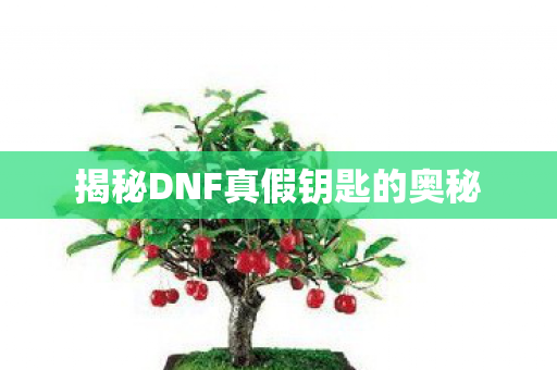 揭秘DNF真假钥匙的奥秘