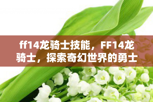 ff14龙骑士技能,FF14龙骑士,探索奇幻世界的勇士之旅 ff14龙骑士技能,FF14龙骑士,探索奇幻世界的勇士之旅