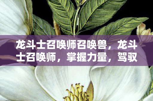 龙斗士召唤师召唤兽，龙斗士召唤师，掌握力量，驾驭传奇的勇者