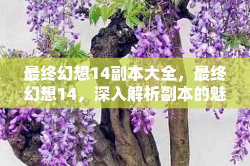 最终幻想14副本大全,最终幻想14,深入解析副本的魅力与挑战 最终幻想14副本大全,最终幻想14,深入解析副本的魅力与挑战