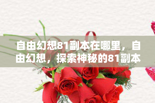 自由幻想81副本在哪里，自由幻想，探索神秘的81副本之旅