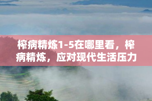 榨病精炼1-5在哪里看，榨病精炼，应对现代生活压力的新策略