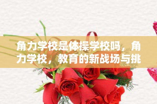 角力学校是体操学校吗，角力学校，教育的新战场与挑战