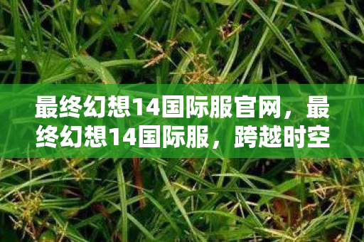 最终幻想14国际服官网,最终幻想14国际服,跨越时空的奇幻冒险之旅 最终幻想14国际服官网,最终幻想14国际服,跨越时空的奇幻冒险之旅