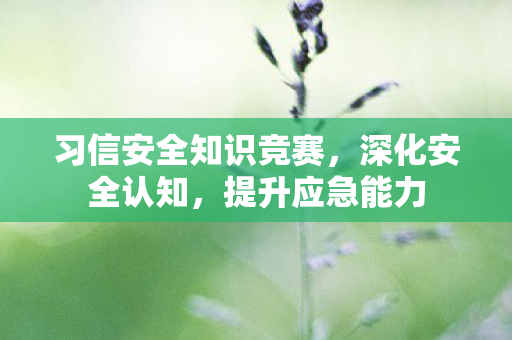 习信安全知识竞赛，深化安全认知，提升应急能力