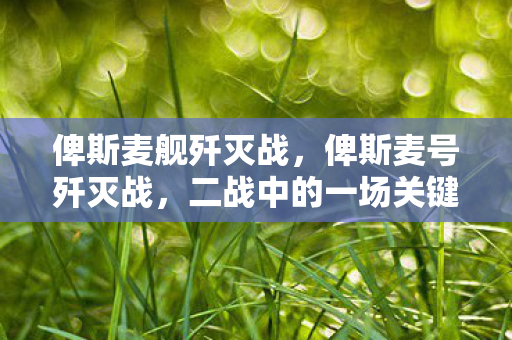 俾斯麦舰歼灭战,俾斯麦号歼灭战,二战中的一场关键海战 俾斯麦舰歼灭战,俾斯麦号歼灭战,二战中的一场关键海战