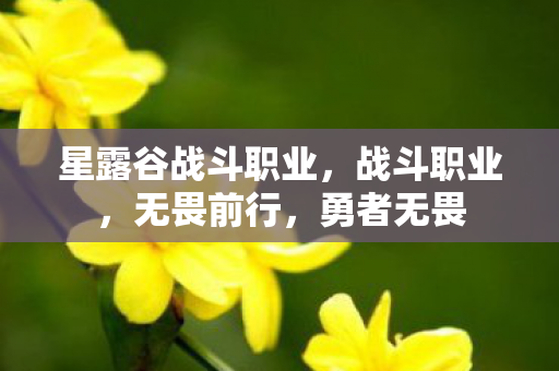星露谷战斗职业，战斗职业，无畏前行，勇者无畏